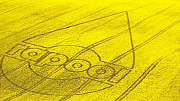 ДА ОТГЛЕЖДАШ РАПИЦА - ЗАСЛУЖАВА СИ С RAPOOL !